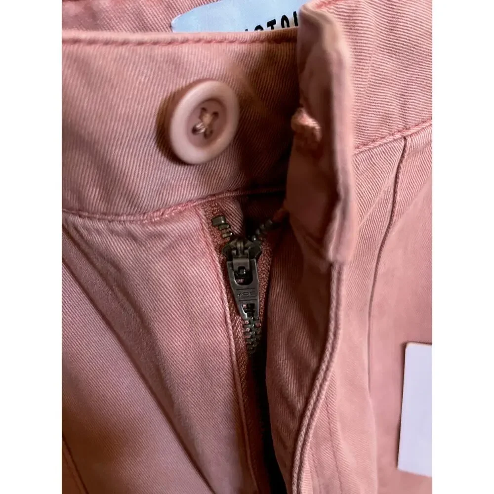 PISTOLA Sasha High Rise Utility Carpenter Flared Wide Leg Pants in Clay 31